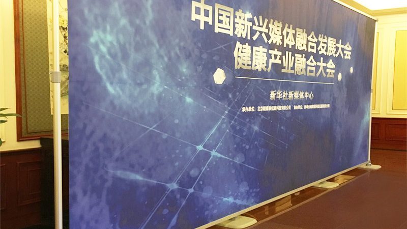 品牌之眼：Logo设计流程解析与选择标准揭秘